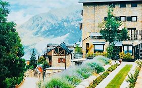 Alberg Taull